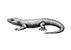VOLÄN